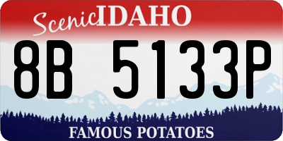 ID license plate 8B5133P
