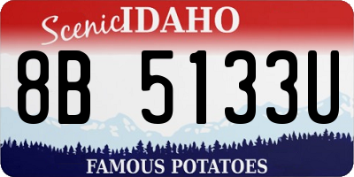 ID license plate 8B5133U