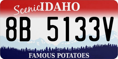 ID license plate 8B5133V