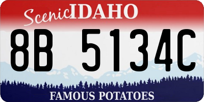 ID license plate 8B5134C