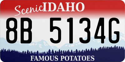 ID license plate 8B5134G