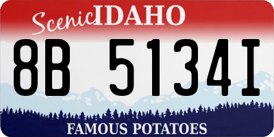 ID license plate 8B5134I