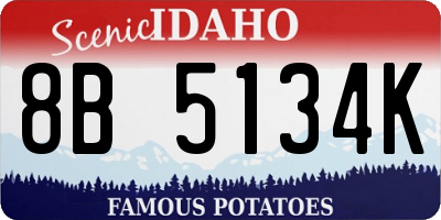 ID license plate 8B5134K
