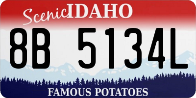 ID license plate 8B5134L