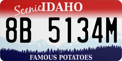 ID license plate 8B5134M