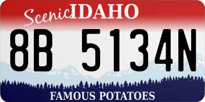 ID license plate 8B5134N