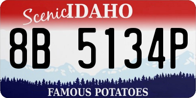 ID license plate 8B5134P