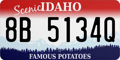 ID license plate 8B5134Q