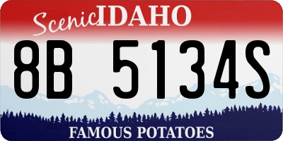 ID license plate 8B5134S