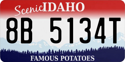 ID license plate 8B5134T