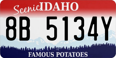 ID license plate 8B5134Y