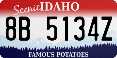 ID license plate 8B5134Z