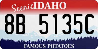 ID license plate 8B5135C