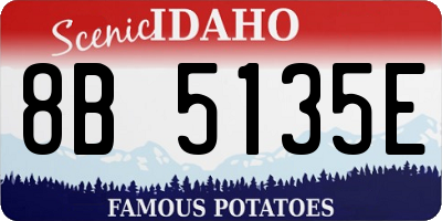 ID license plate 8B5135E