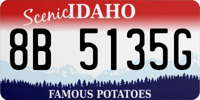 ID license plate 8B5135G