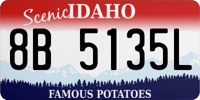 ID license plate 8B5135L