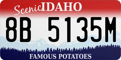 ID license plate 8B5135M