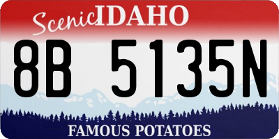 ID license plate 8B5135N