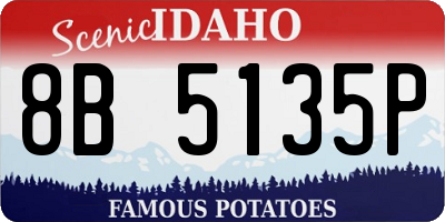 ID license plate 8B5135P