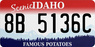 ID license plate 8B5136C