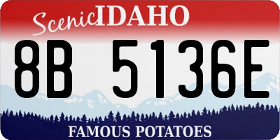 ID license plate 8B5136E