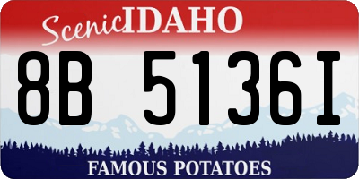 ID license plate 8B5136I