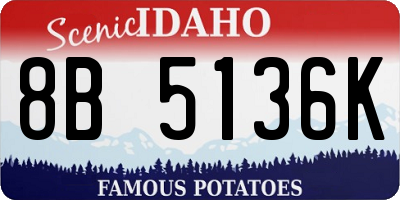 ID license plate 8B5136K