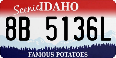 ID license plate 8B5136L