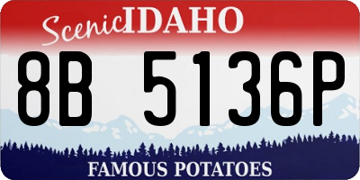 ID license plate 8B5136P