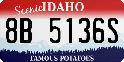 ID license plate 8B5136S