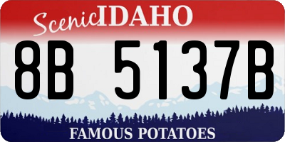 ID license plate 8B5137B