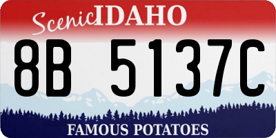 ID license plate 8B5137C