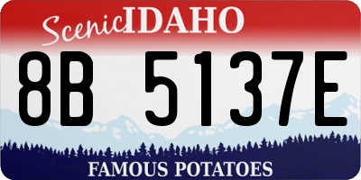 ID license plate 8B5137E