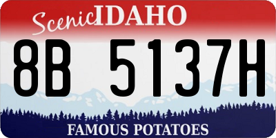 ID license plate 8B5137H