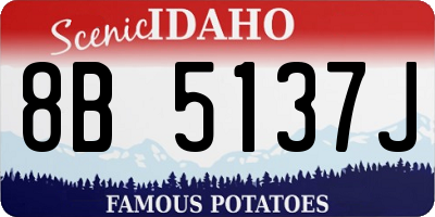 ID license plate 8B5137J
