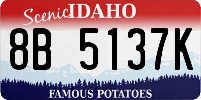 ID license plate 8B5137K