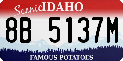 ID license plate 8B5137M