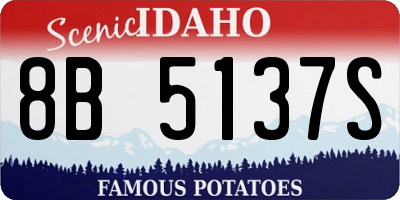 ID license plate 8B5137S
