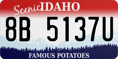 ID license plate 8B5137U
