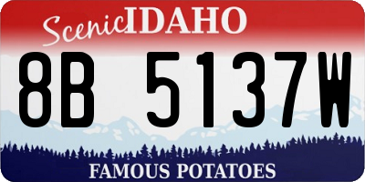 ID license plate 8B5137W