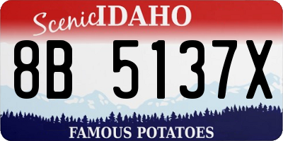 ID license plate 8B5137X