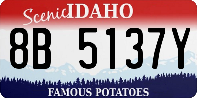 ID license plate 8B5137Y