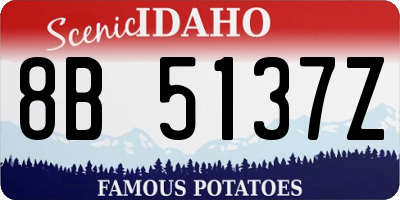 ID license plate 8B5137Z