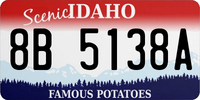 ID license plate 8B5138A