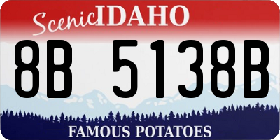 ID license plate 8B5138B