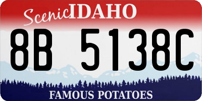 ID license plate 8B5138C