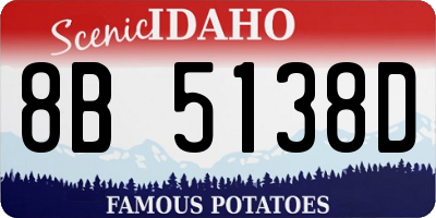 ID license plate 8B5138D