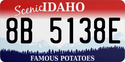 ID license plate 8B5138E