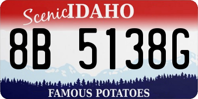 ID license plate 8B5138G