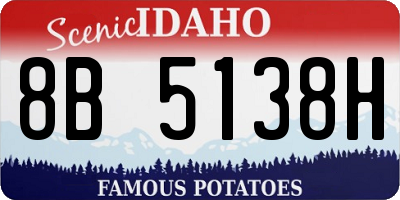 ID license plate 8B5138H